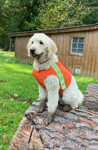 Adventure Coat - Burnt Orange